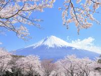 写真：日本の世界遺産の旅へ！富士山、知床、厳島神社...人気の世界遺産をランキング