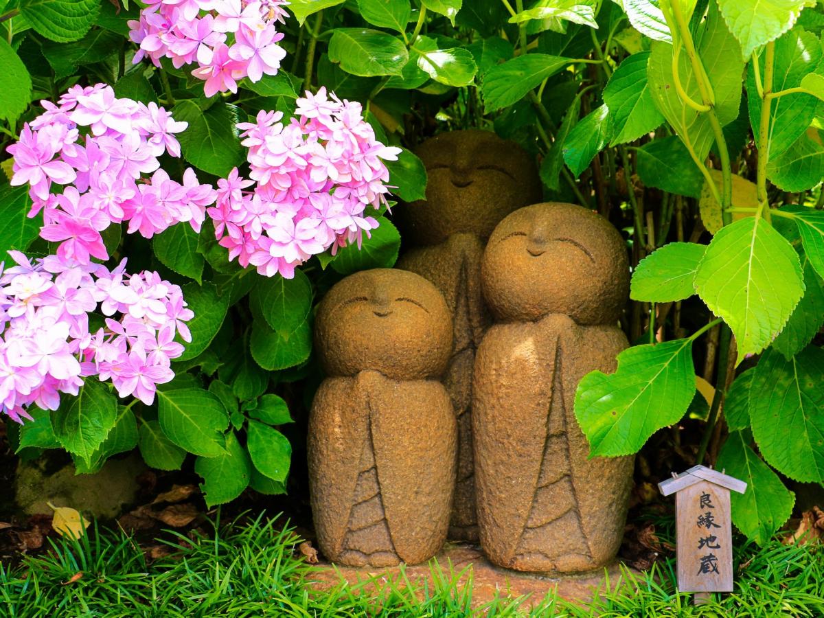 鎌倉のあじさい名所15選！明月院など有名あじさい寺へ♪　2025あじさい祭り情報も