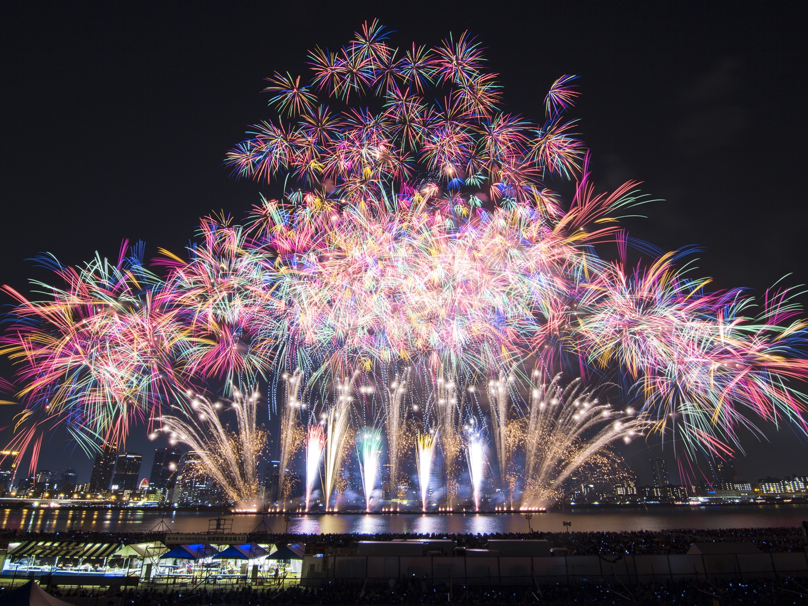 活動歴および当時の関連ビジュアル記録