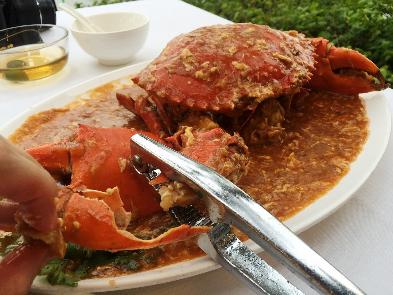 シンガポールのグルメ レストラン15選 絶対食べたい人気店のおすすめメニューをご紹介 トラベルコ