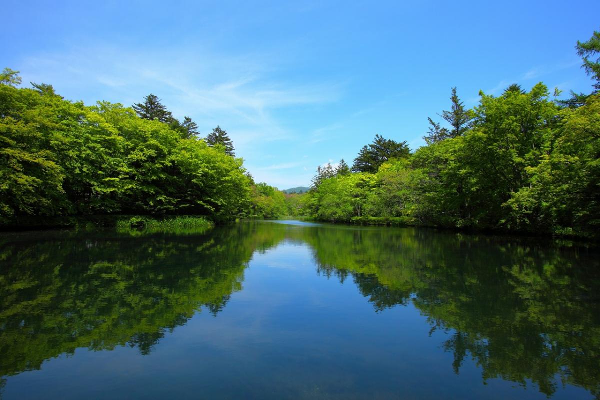 雲場池