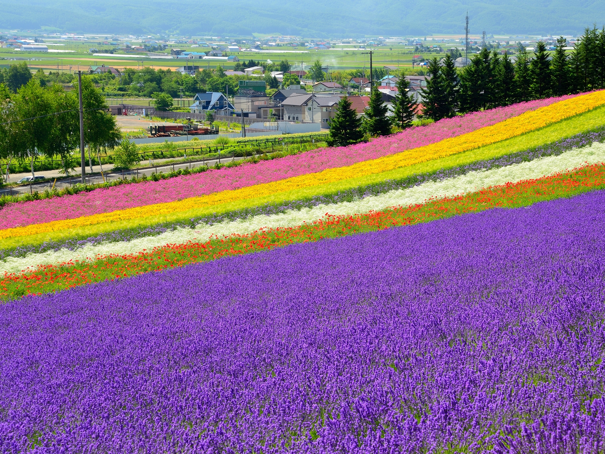 21年 北海道 イベント 花見 花火 お祭りの中止 延期 再開情報 トラベルコ