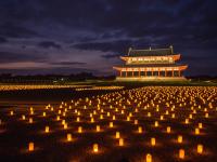 写真：2024年 奈良県のお祭り、花火大会、イルミネーションなど ‐ イベント情報一覧