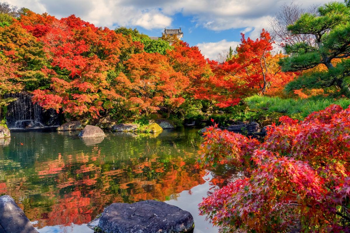 2022年 兵庫県のイベント 中止・開催・延期情報