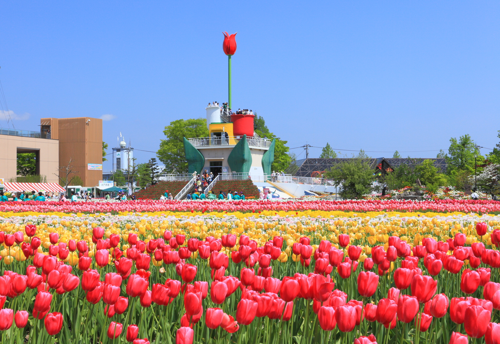 22年 富山県のイベント お花見 イルミネーション お祭りなど 中止 開催 延期情報 トラベルコ