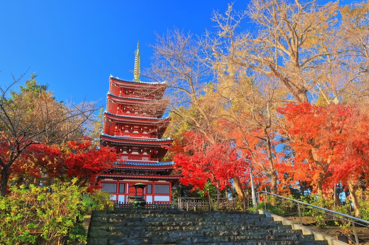 2022年 千葉県のイベント（ハロウィン、お祭り、花火大会など）中止・開催・延期情報