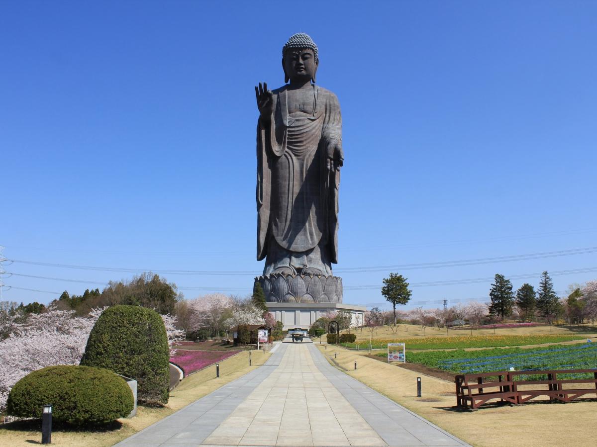 21年 茨城県 イベント 花火 お祭りなど の中止 延期 開催情報 トラベルコ