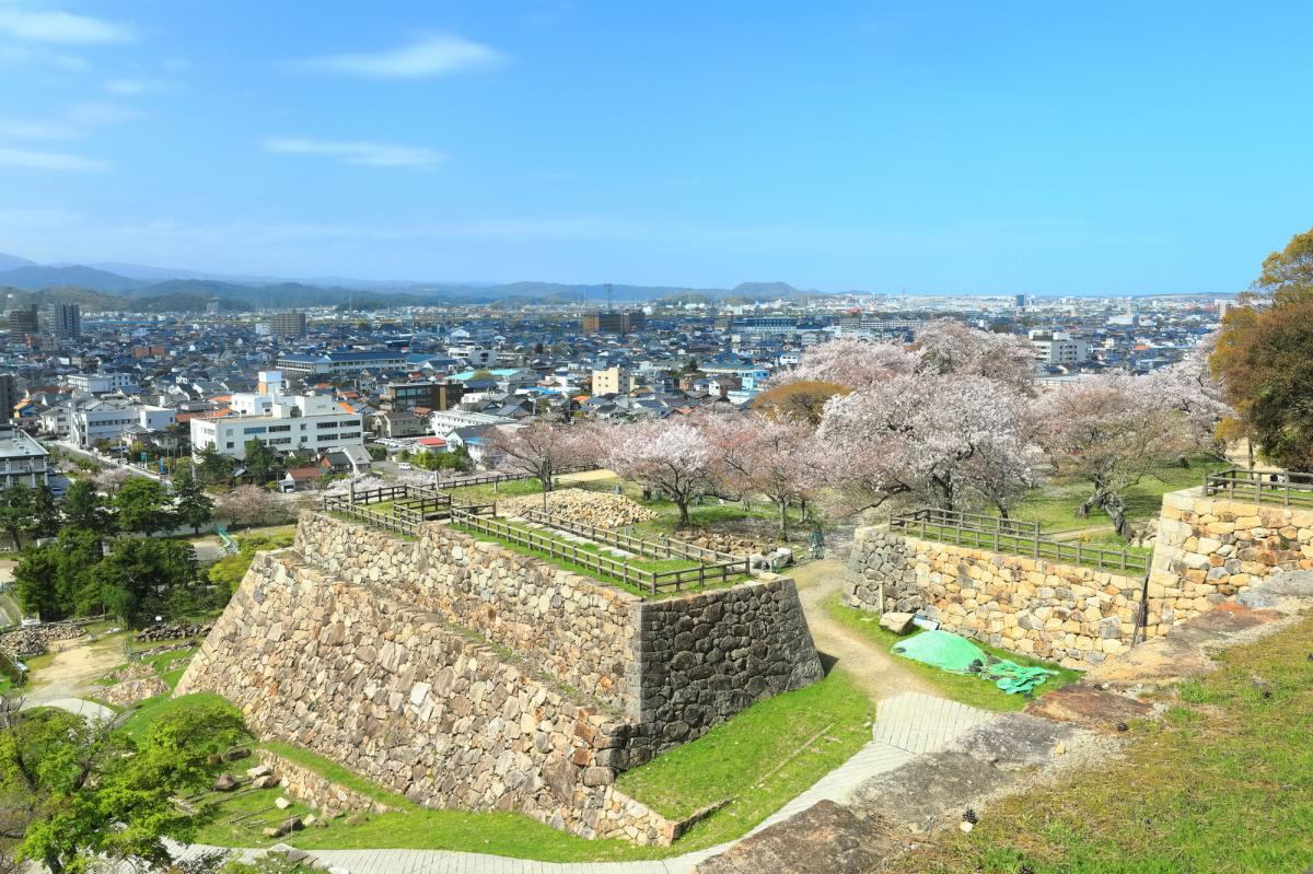 2022年 鳥取県のイベント（お祭り、お花見など）中止・開催・延期情報