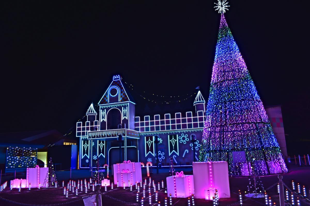 2023年 山口県のイベント（イルミネーション、お花見など）中止・開催・延期情報