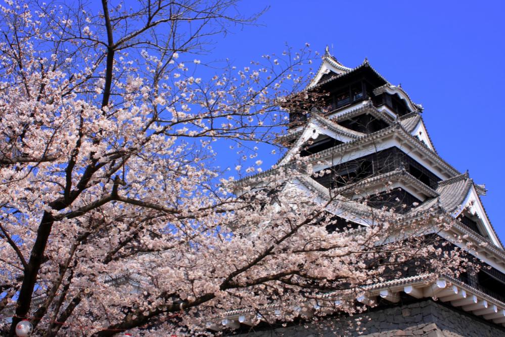 22年 熊本県のイベント お花見 イルミネーション お祭りなど 中止 開催 延期情報 トラベルコ