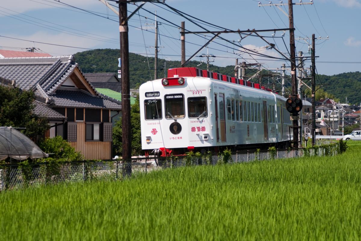 貴志川線・いちご電車
