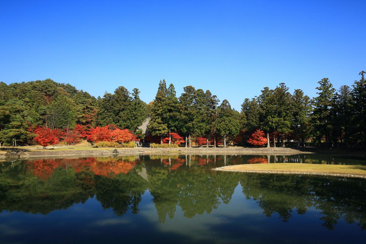 21 22年 岩手県のイベント イルミネーション花火など 中止 開催 延期情報 トラベルコ