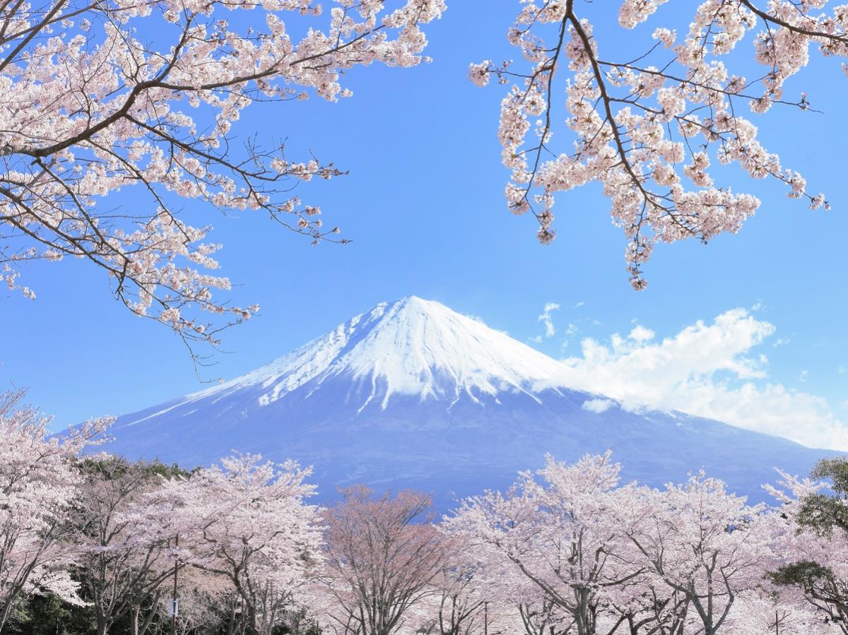 Go Toトラベルキャンペーン対象商品をかんたん比較！人気エリア別・予算別におすすめ