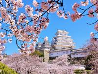 写真：【2024年】絶景お花見スポット70選！全国の桜名所をおすすめ