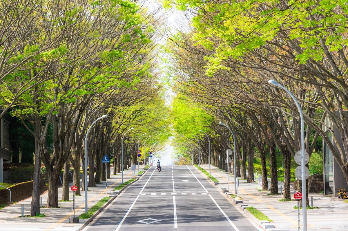 宮城県の全国旅行支援「みやぎ宿泊割キャンペーン」ほか旅行補助一覧｜宿泊割引・クーポンなど県民割・Go To トラベル代替施策