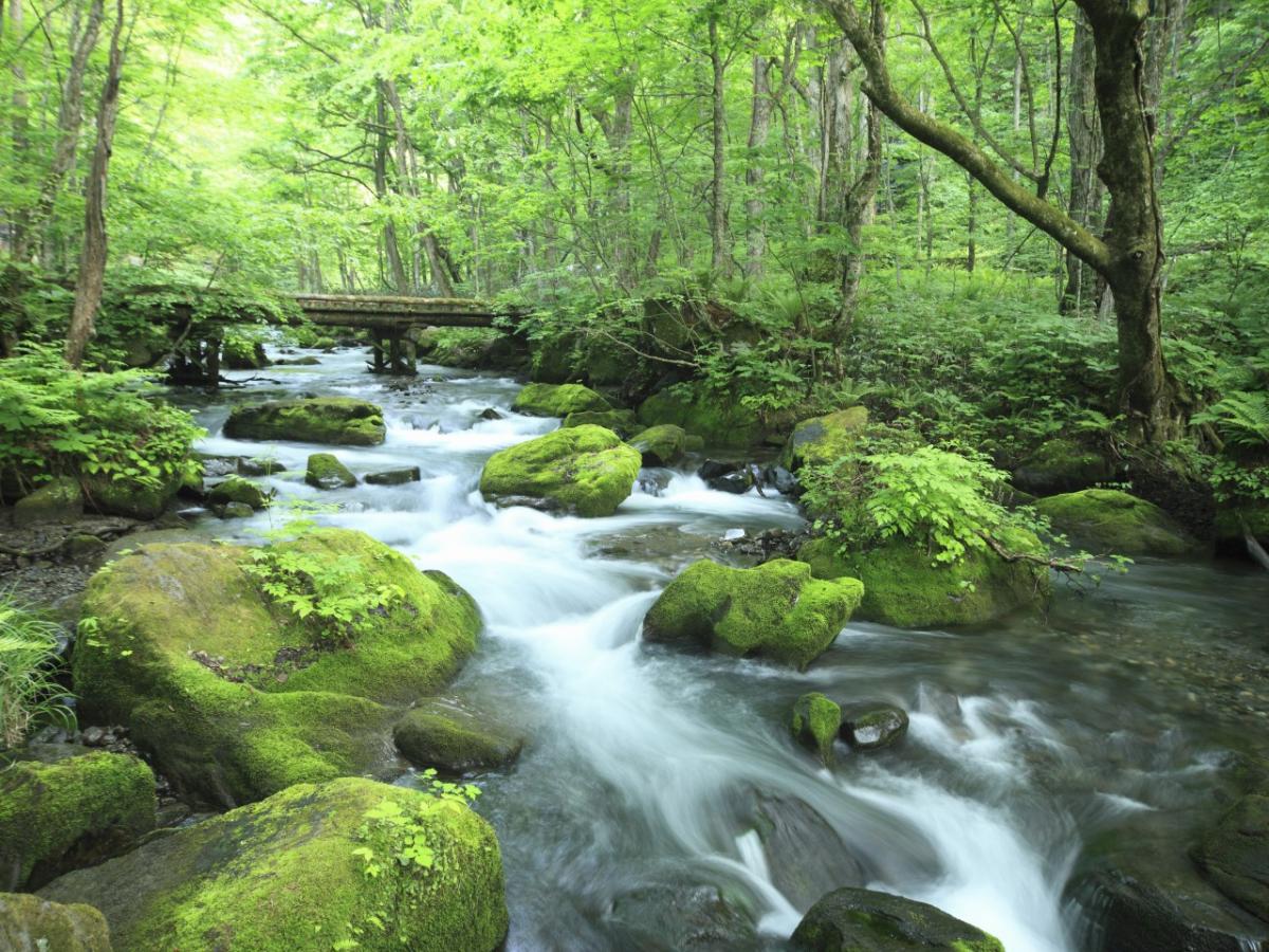 青森県の全国旅行支援「青森県おでかけキャンペーン」ほか旅行補助一覧｜宿泊割引・クーポンなど県民割・Go To トラベル代替施策