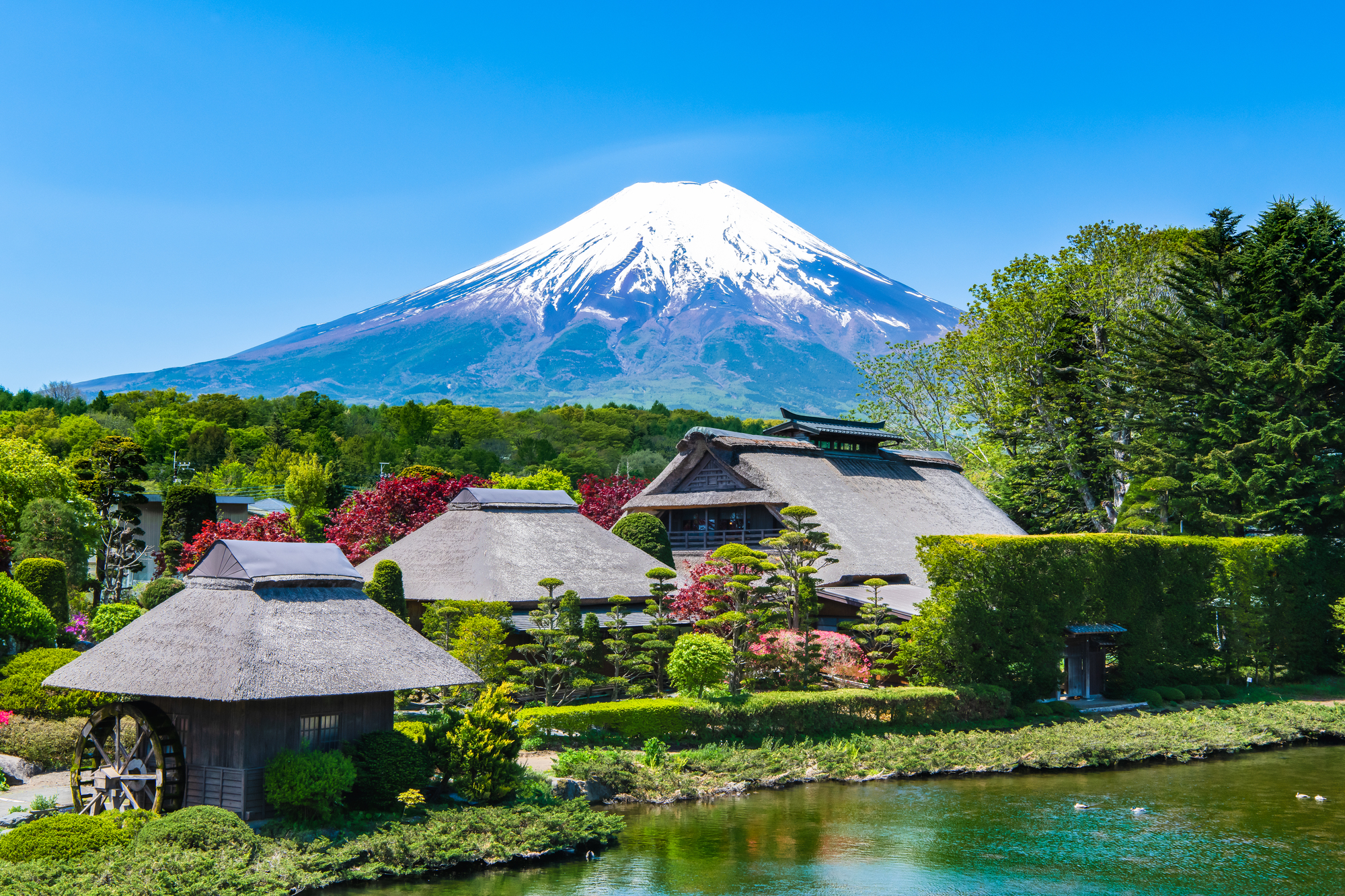 山梨県民割 グリーン ゾーン宿泊割り 全国旅行支援 宿泊割引 クーポンなど Go To トラベル代替の旅行補助キャンペーン トラベルコ