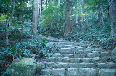 世界遺産熊野古道と、神域・那智勝浦へ。