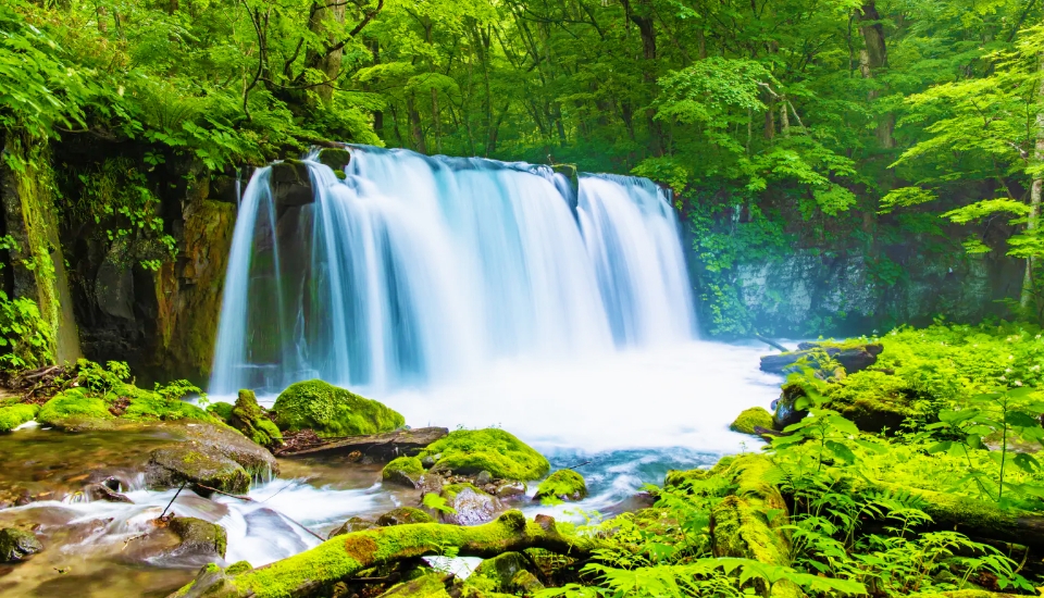 写真：青森 旅行・ツアー