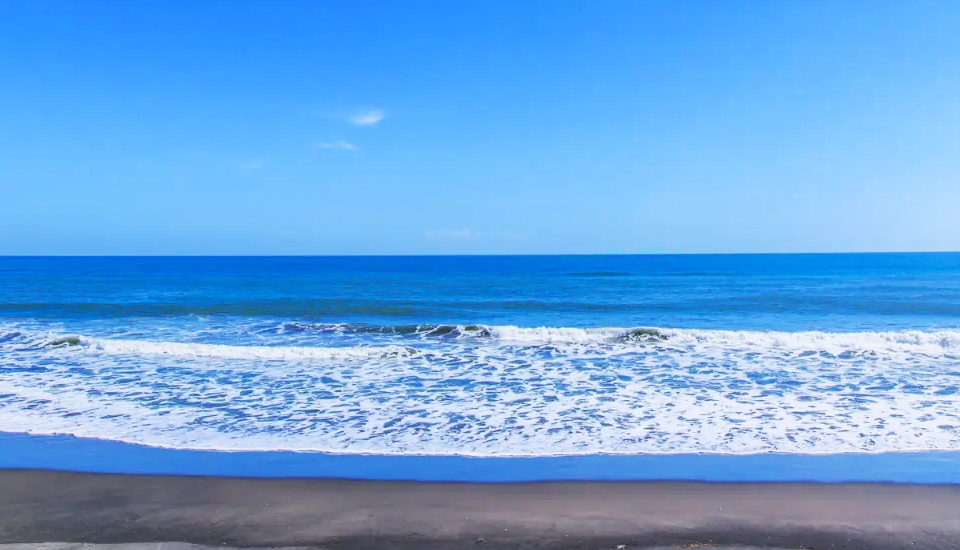 写真：銚子 旅行・ツアー