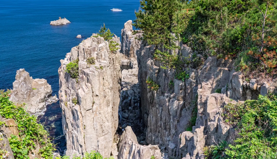 写真：福井 旅行・ツアー