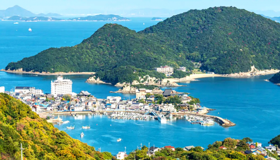 写真：福山 旅行・ツアー