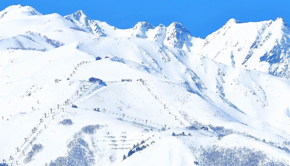 写真：白馬 旅行・ツアー