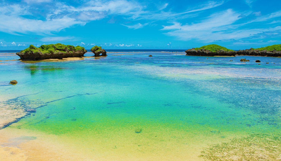写真:西表島 旅行・ツアー