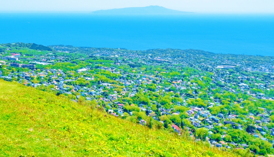 写真:伊東 旅行・ツアー