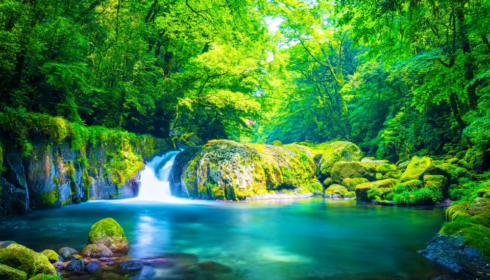 写真：熊本 旅行・ツアー