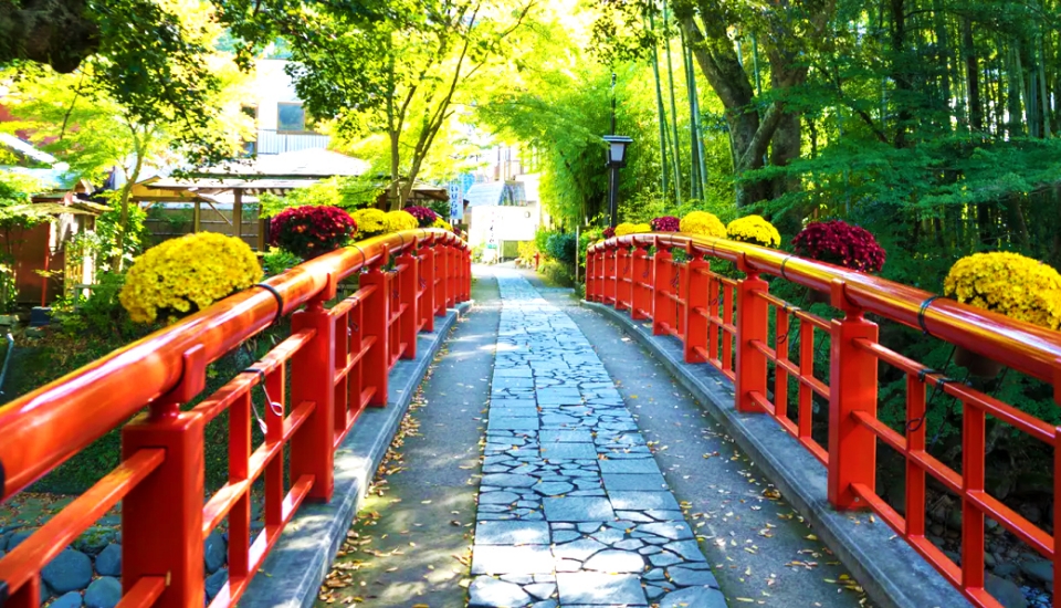 写真：三島 旅行・ツアー