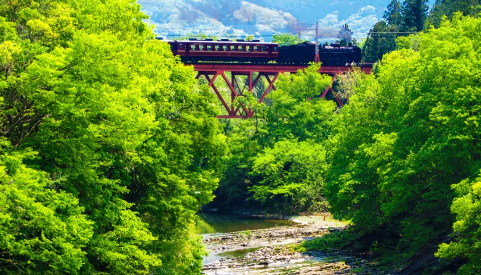 写真：長瀞 旅行・ツアー