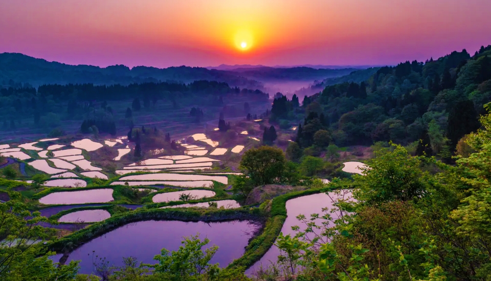 写真：新潟 旅行・ツアー