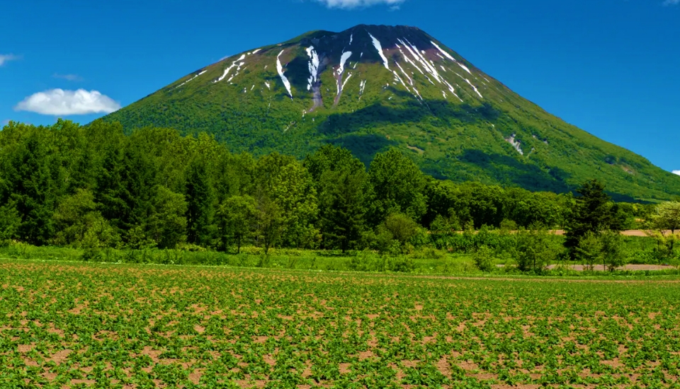 写真:ニセコ 旅行・ツアー