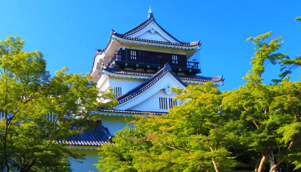 写真：岡崎 旅行・ツアー