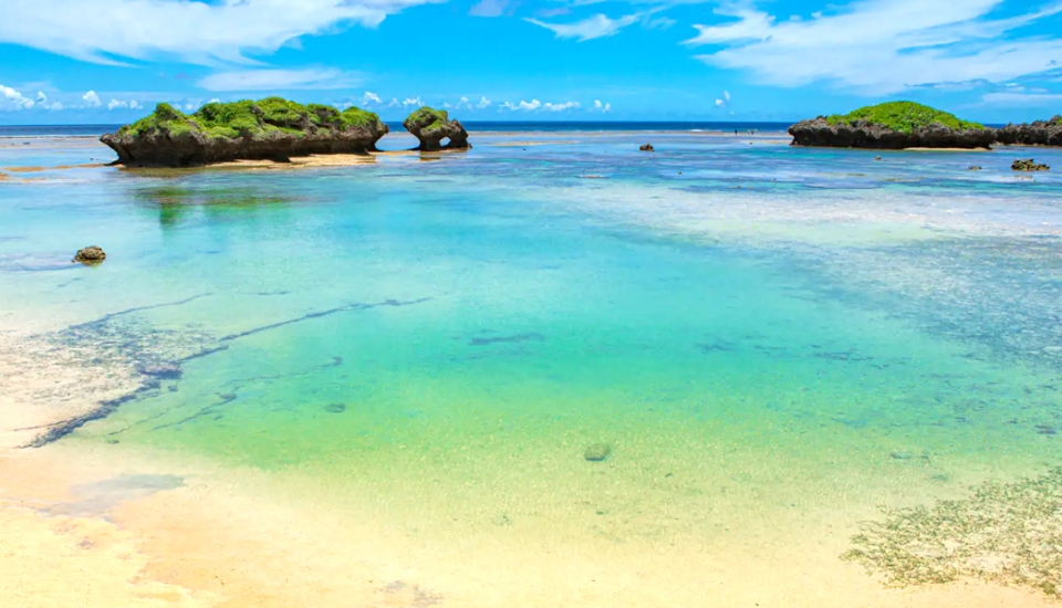 写真:沖縄 旅行・ツアー