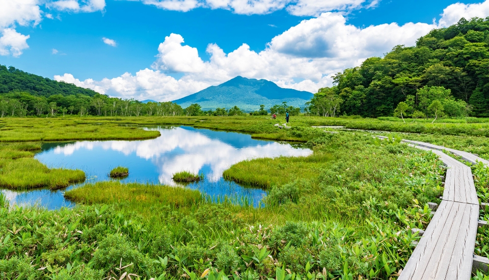 写真：尾瀬 旅行・ツアー