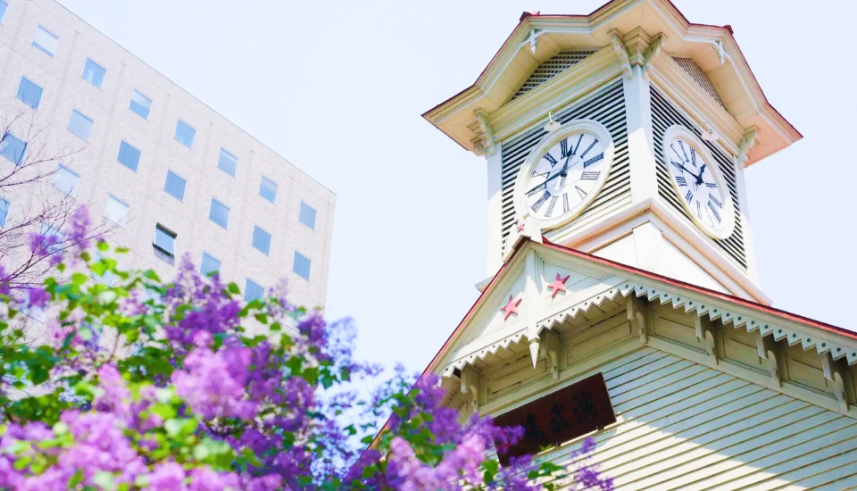 写真：札幌 旅行・ツアー
