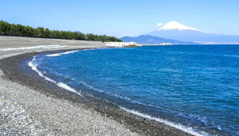 写真：静岡 旅行・ツアー