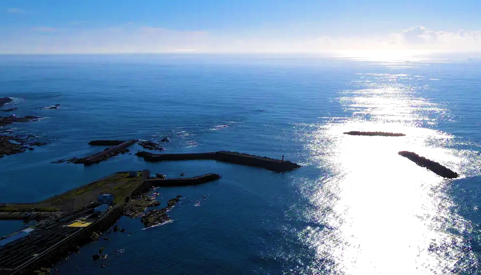 写真：館山 旅行・ツアー