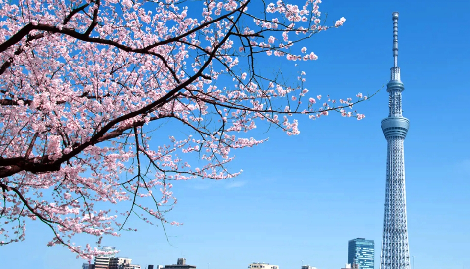 写真：東京 旅行・ツアー