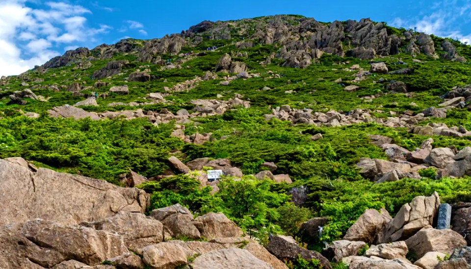 写真：遠野 旅行・ツアー
