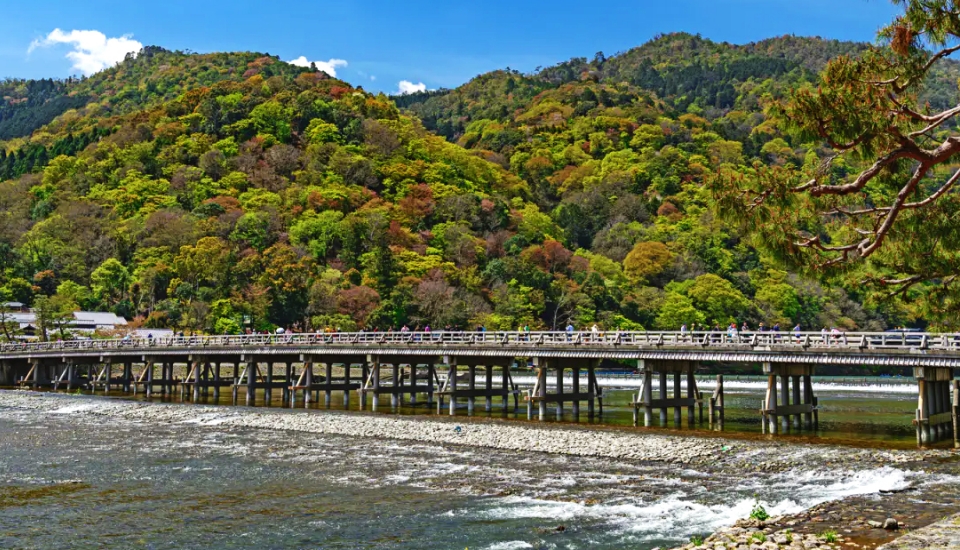 写真:嵐山 旅行・ツアー