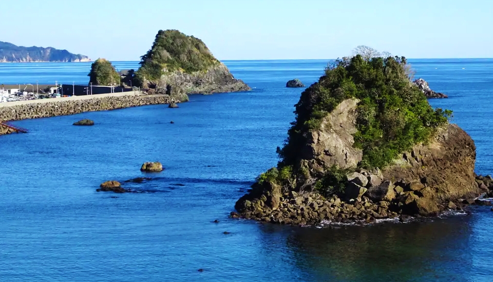 写真:鴨川・勝浦・御宿 旅行・ツアー