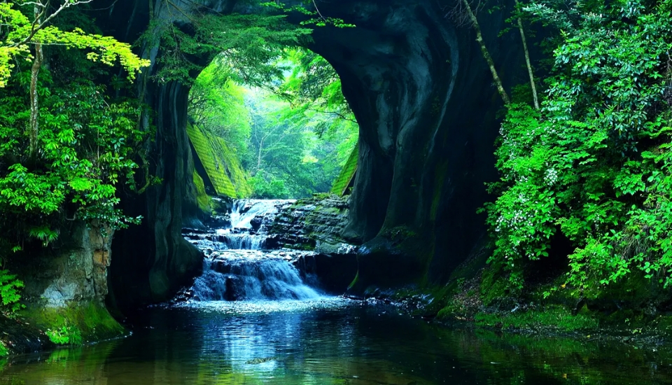 写真:木更津 旅行・ツアー