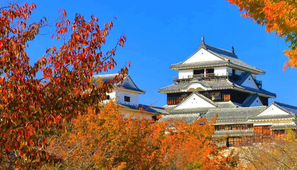 写真:松山 旅行・ツアー