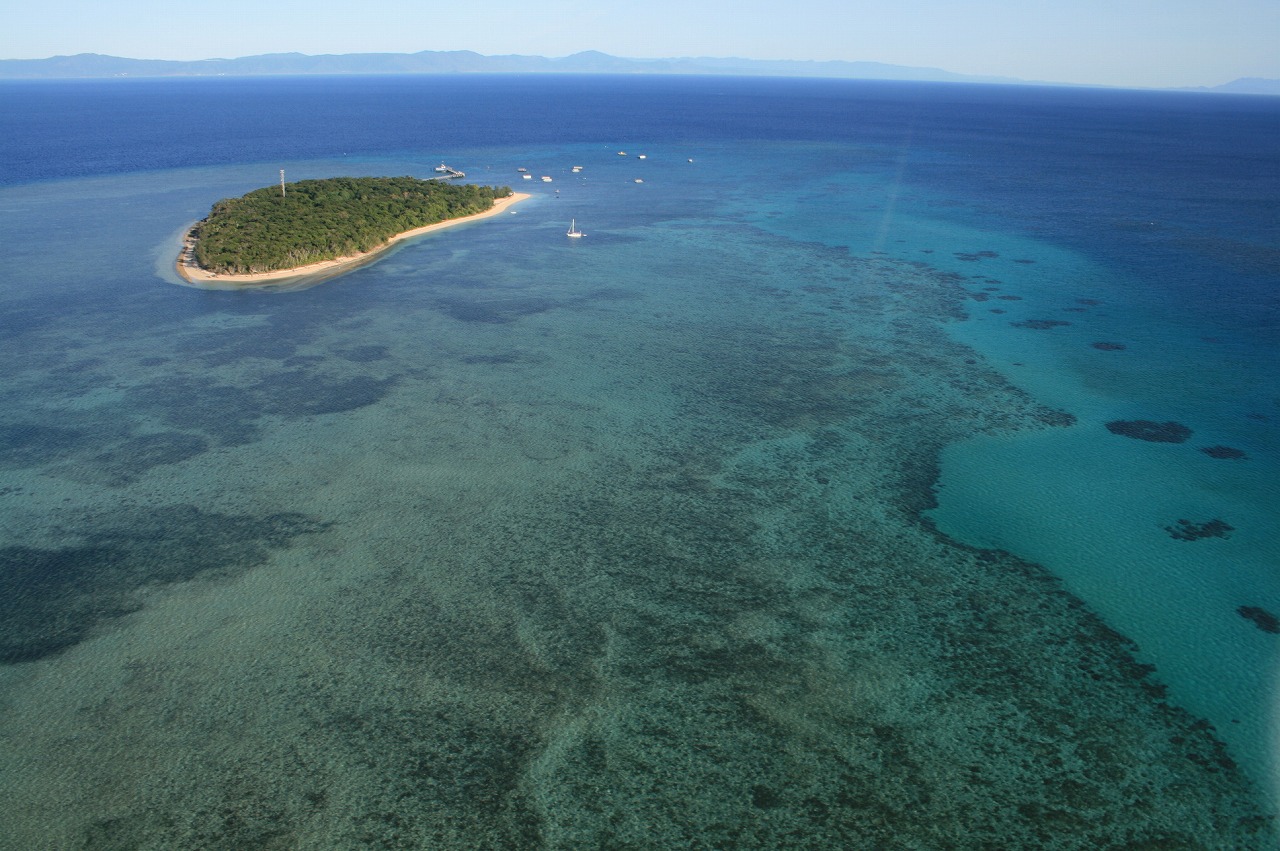 グリーン島 ケアンズのおすすめ観光地 名所 現地を知り尽くしたガイドによる口コミ情報 トラベルコ