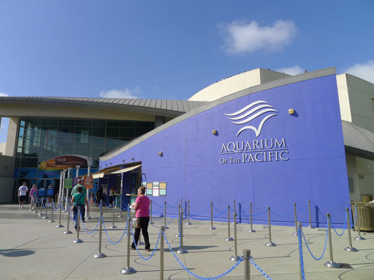 ロングビーチ水族館 ロサンゼルスのおすすめ観光地 名所 現地を知り尽くしたガイドによる口コミ情報 トラベルコ