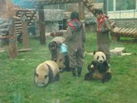 北京動物園