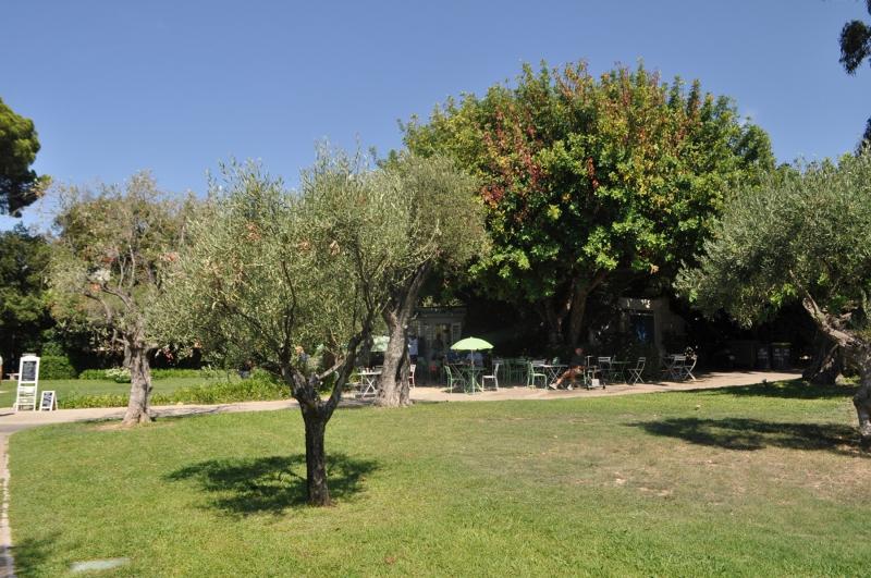 ミュージアムの庭園にあるカフェ